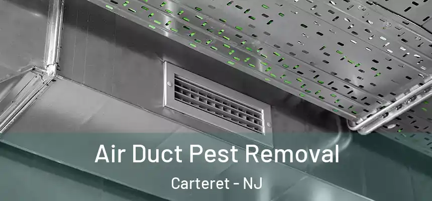 Air Duct Pest Removal Carteret - NJ