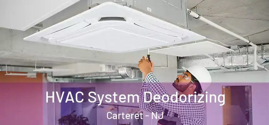  HVAC System Deodorizing Carteret - NJ