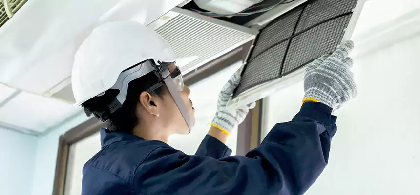 Our Mold & Mildew Removal from Air Ducts Services in Carteret, NJ