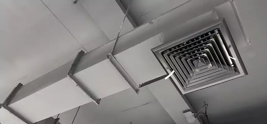 Our Rodent Droppings In Vents Services in Carteret, NJ