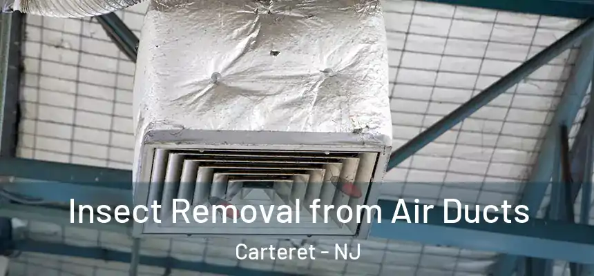 Insect Removal from Air Ducts Carteret - NJ