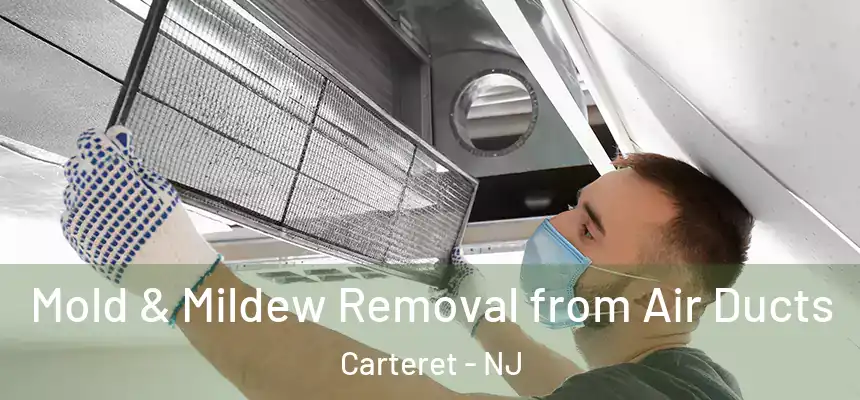 Mold & Mildew Removal from Air Ducts Carteret - NJ