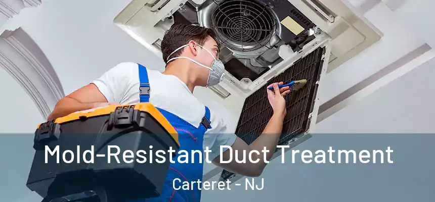  Mold-Resistant Duct Treatment Carteret - NJ
