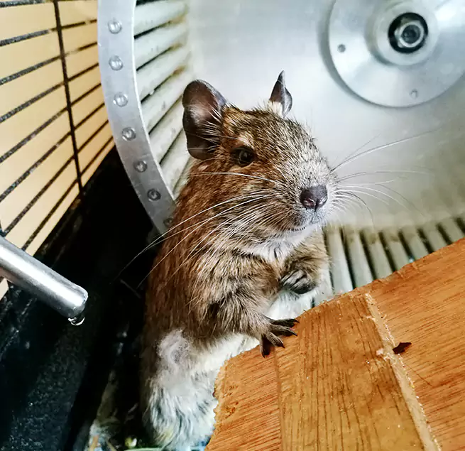 Why Homeowners & Businesses Trust Us Carteret, NJ?